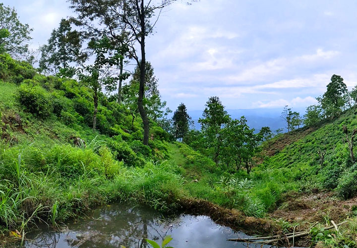 Camping in Sri Lanka